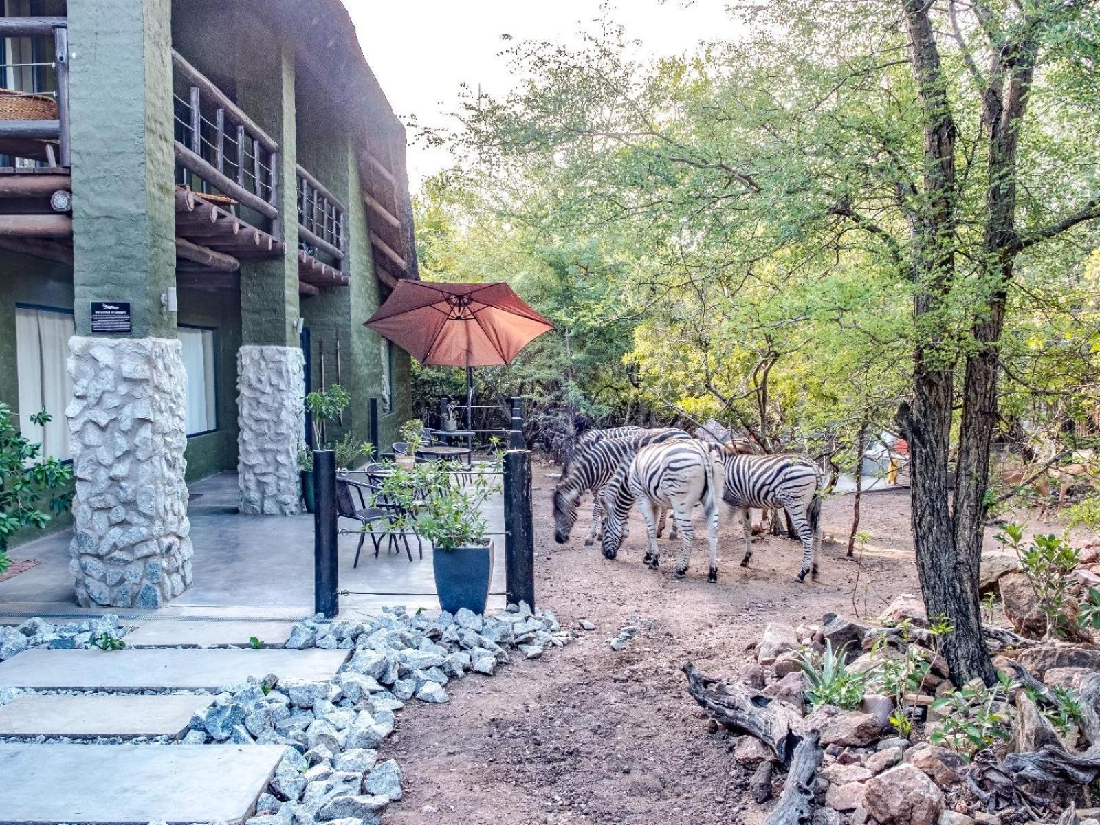 Croc Orvyll'S Kruger Lodge Marloth Park Exterior photo
